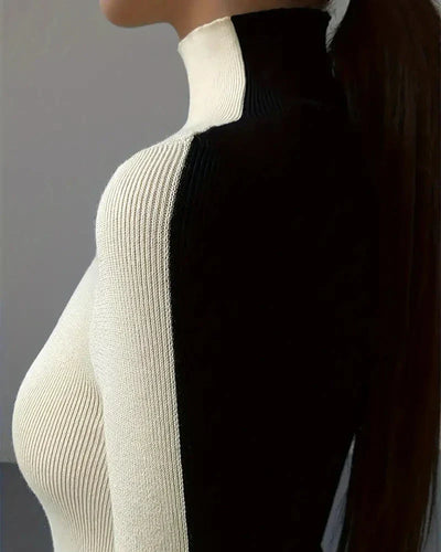 Pull Col Roulé Bicolore En Maglia